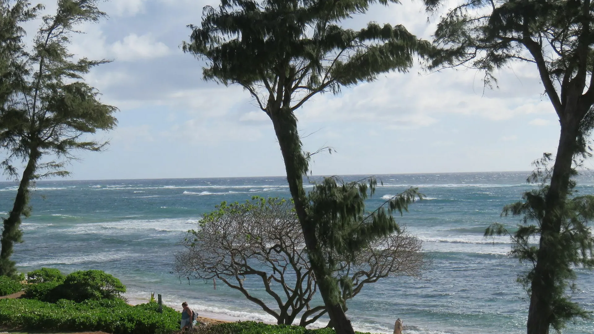 Kreller'S Islander Getaway Hotel Kapaa